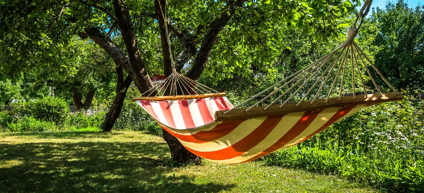 Just Hanging Out: How to Safely Hang a Hammock - Premier Tree Solutions