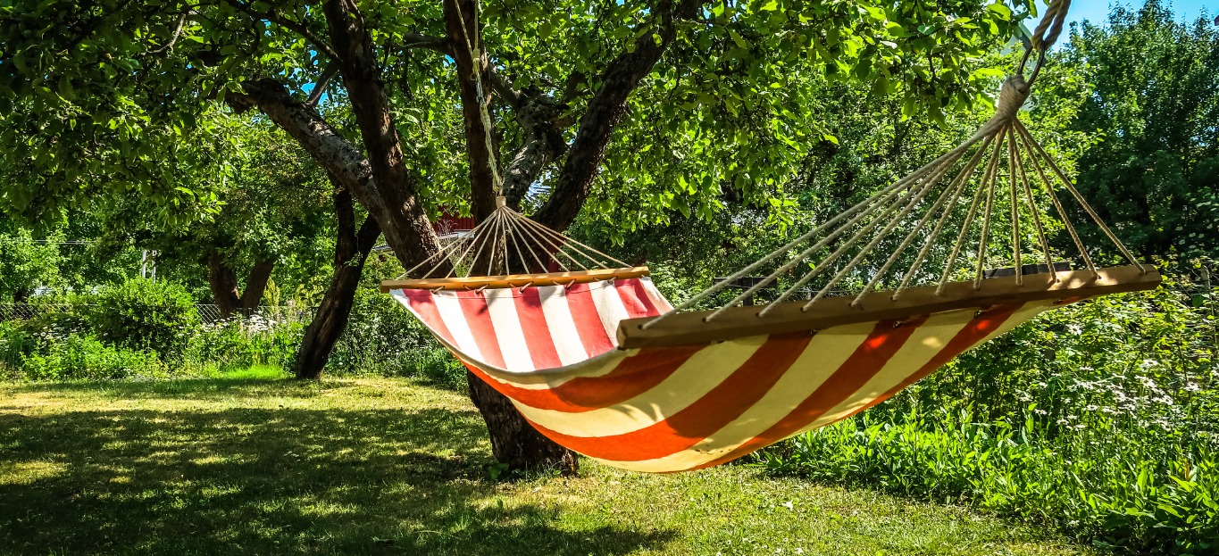 hang hammock between trees