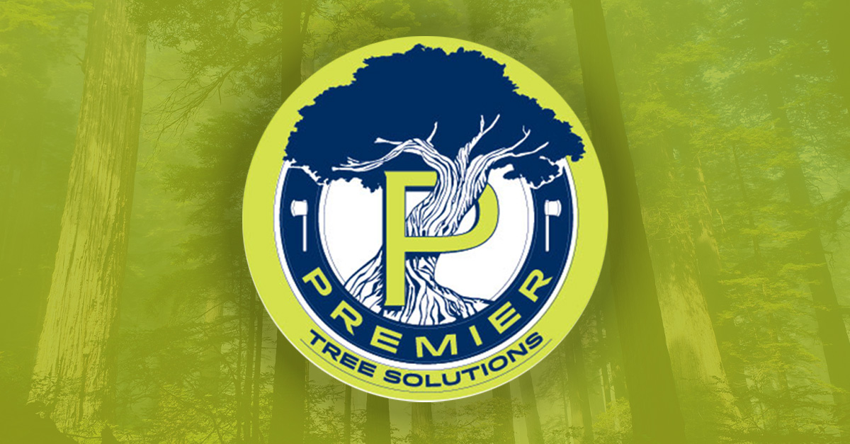 Quality, Professional Tree Services in Georgia - Premier