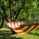 A hammock outdoors during the summertime.