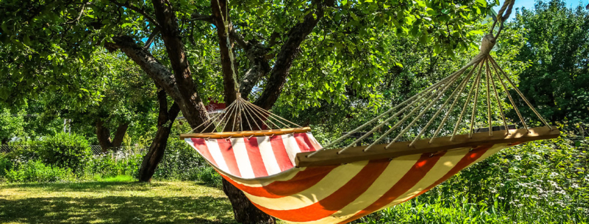 A hammock outdoors during the summertime.