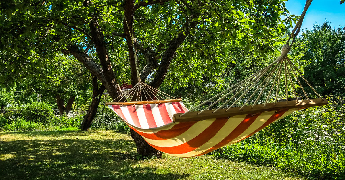 A hammock outdoors during the summertime.