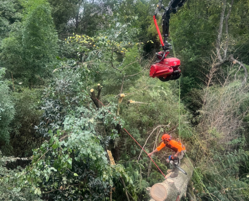 Premier Tree Solutions cleaning up someone's property after Hurricane Helene