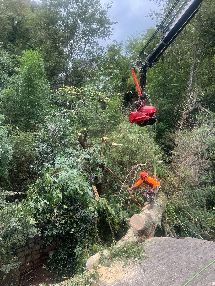 Premier Tree Solutions cleaning up someone's property after Hurricane Helene