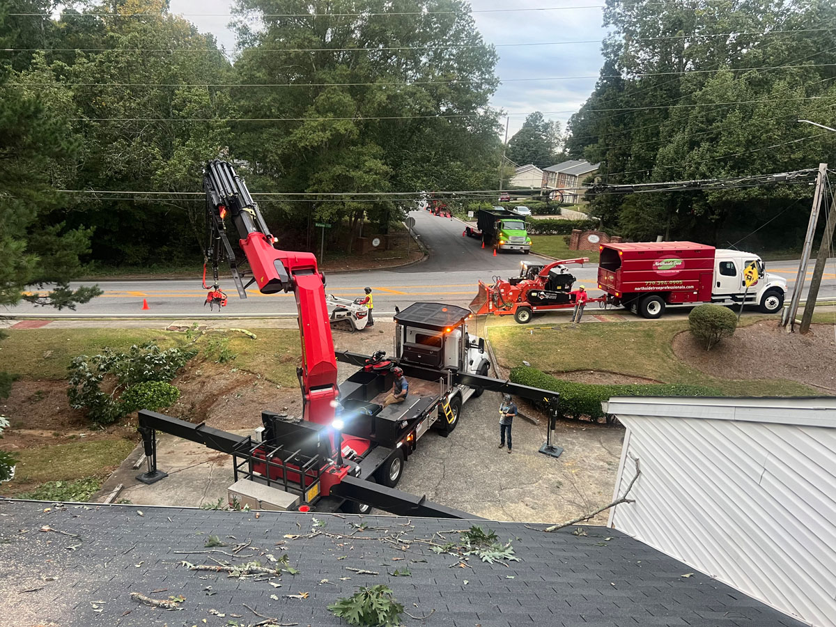 Premier Tree Solutions cleaning up someone's property after Hurricane Helene