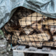 Stored firewood outside covered by a tarp.