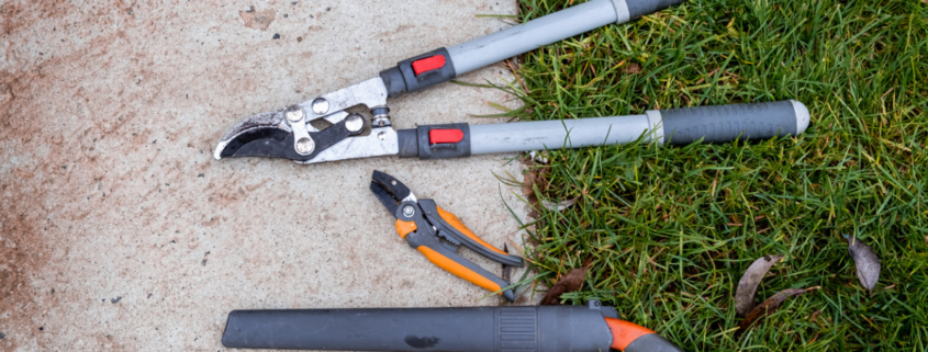 Pruning toolkit