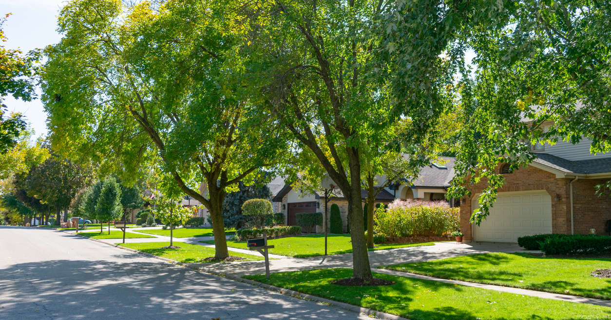 A suburban Midwestern neighborhood street lined with green trees and homes during a sunny day