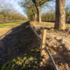 Sustainability in action: Drip irrigation detail in a winter almond field.
