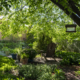 A Backyard Oasis With Plants, Trees and a Pond for a shady yard.