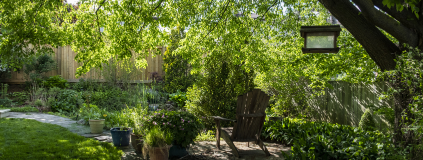 A Backyard Oasis With Plants, Trees and a Pond for a shady yard.
