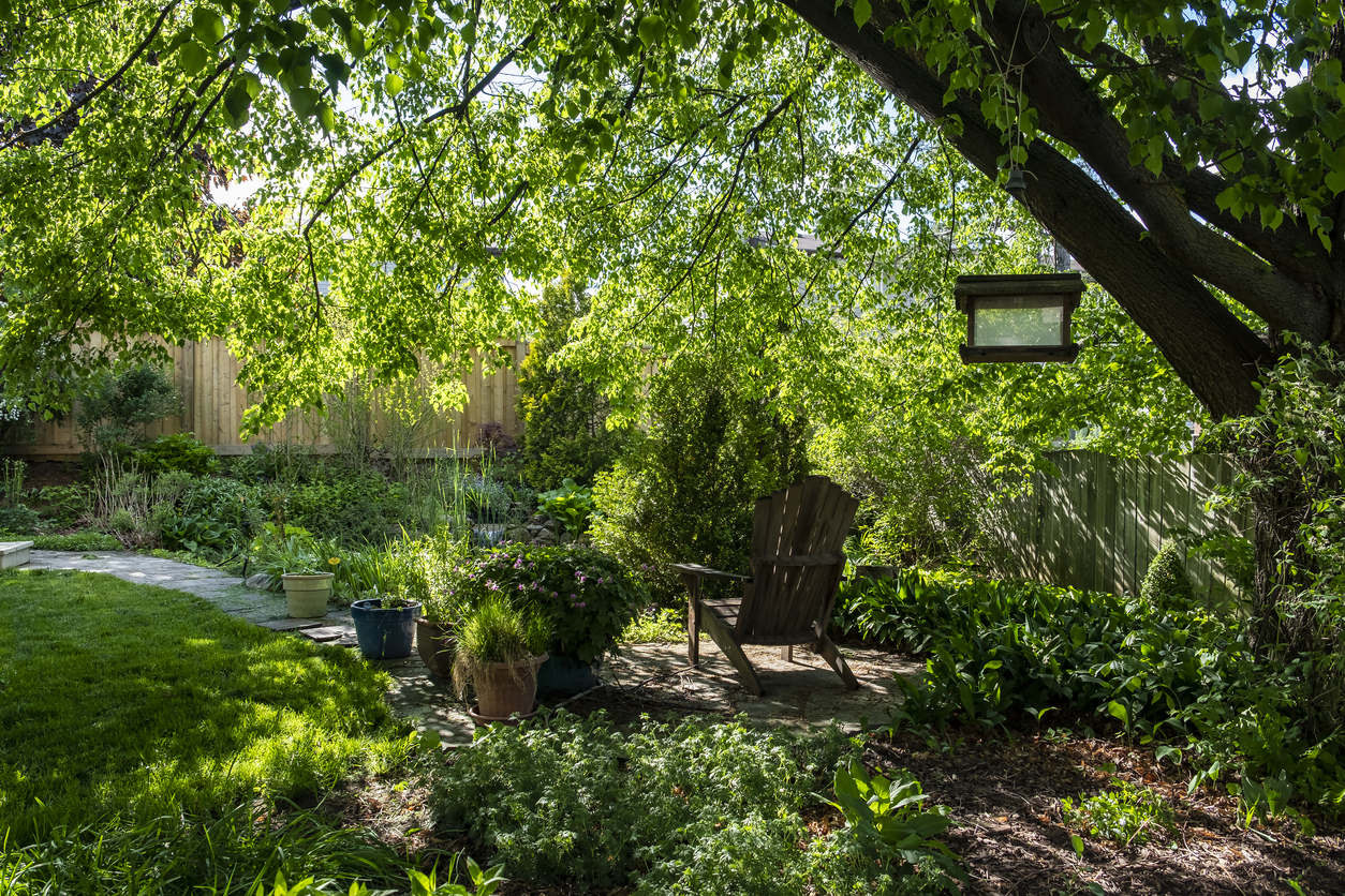 A Backyard Oasis With Plants, Trees and a Pond for a shady yard.