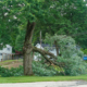 Dangerous fallen tree branch in residential neighborhood caused by storm. summer storm tree prep.