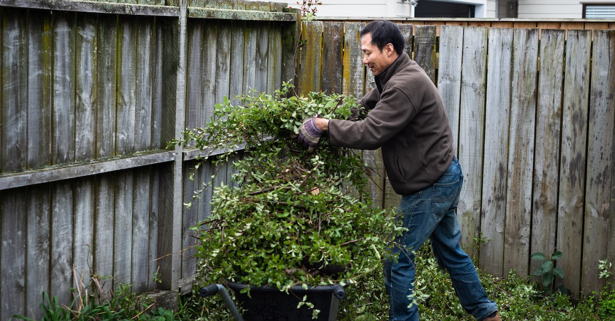 Man putting chopped tree into wheelbarrow