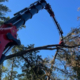 Premier Tree Solutions’s JAWS knuckle boom crane & grapple saw