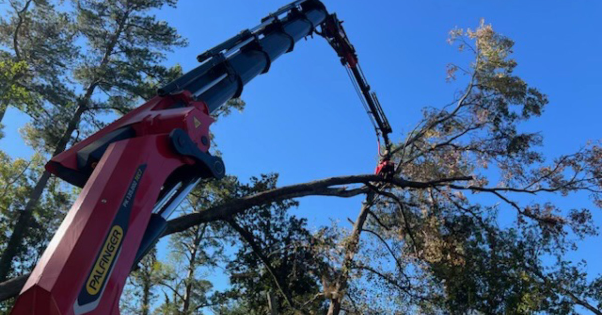Premier Tree Solutions’s JAWS knuckle boom crane & grapple saw