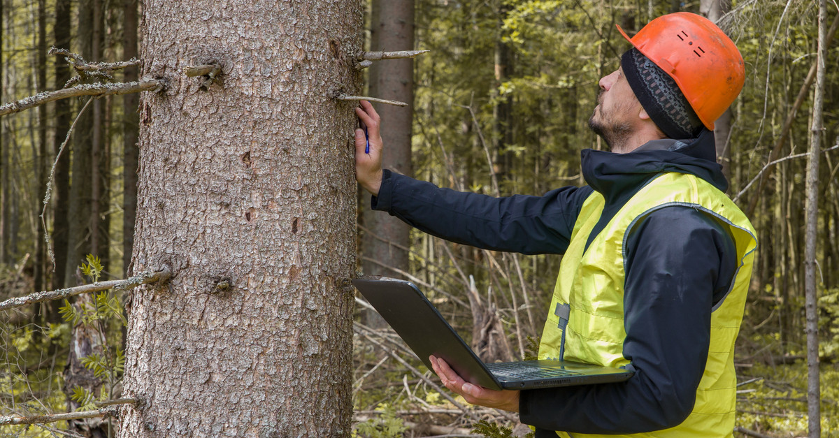 man with laptop and hand on tree