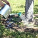 A person watering the soil around a tree