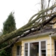 Fallen tree on home