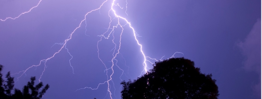 Lightning strikes above a tree at night.