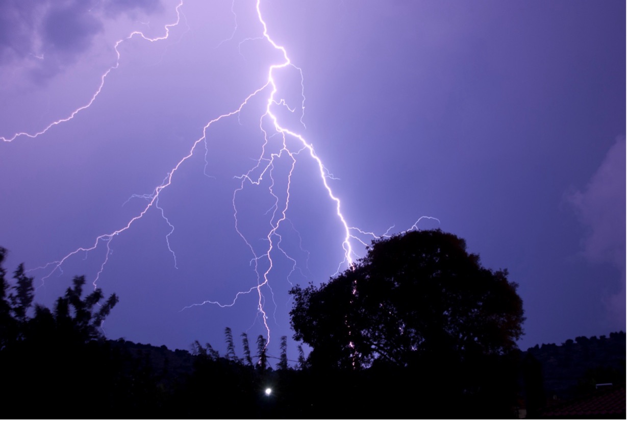 Lightning strikes above a tree at night.